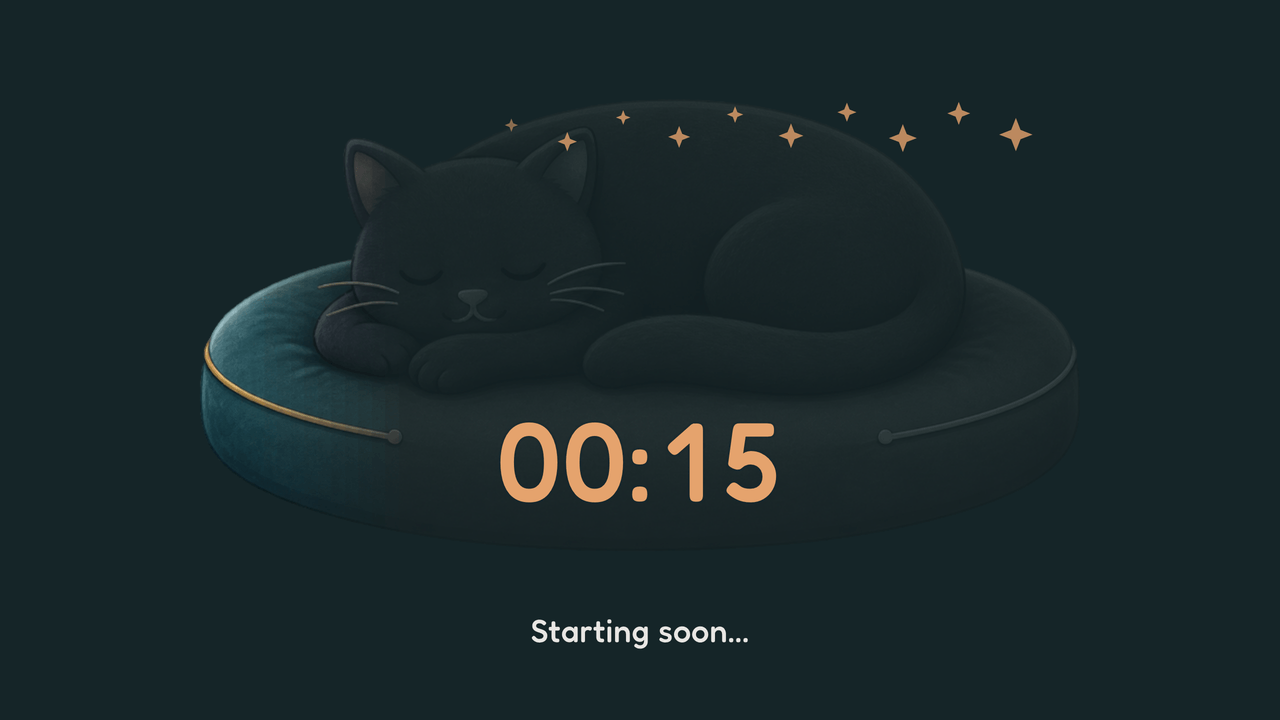 Dreamfade Cat: final minute. 15 seconds left of a 5-minute timer.